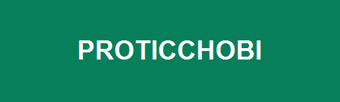 Proticchobi